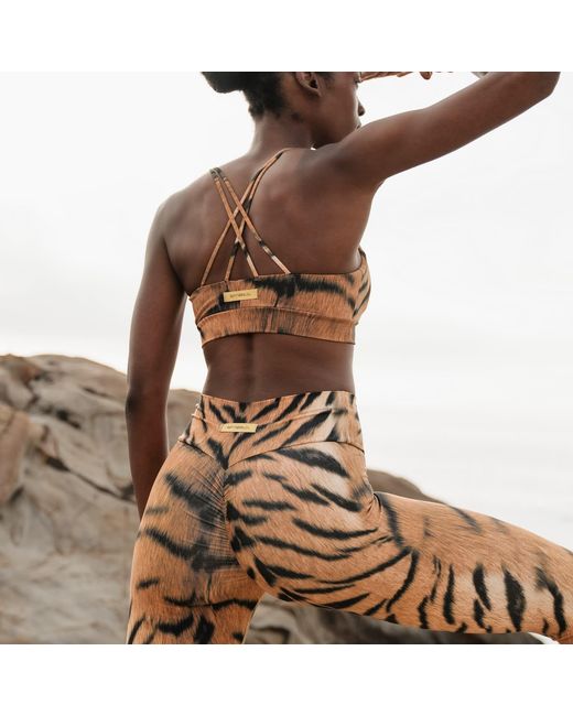 Befitnesslou Brown Legging Tiger Animal Print
