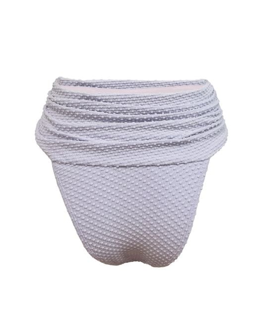 Animal Gray Seashell Bikini Bottom