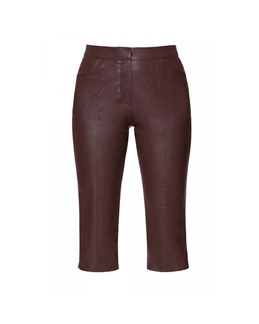 AGGI by HALEWSKI Brown Capri Dakota Chocolate Below Short Pants