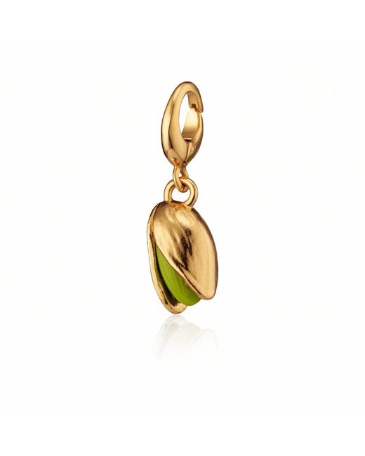Lily Charmed Metallic Plated Pistachio Charm Necklace
