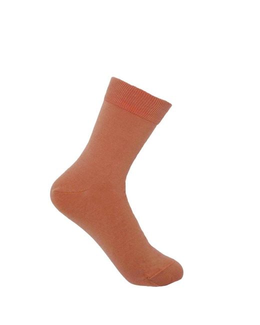 Peper Harow - Made in England Blue Socks Bundle – Classic