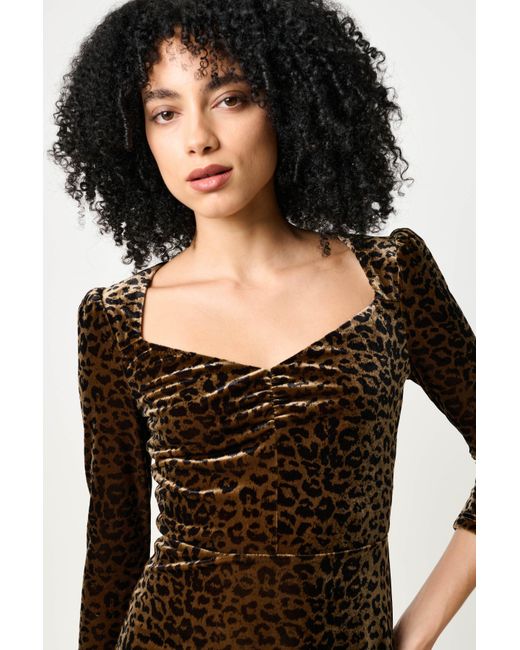 Louche Black Neutrals Ambrose Velvet Roar Midi Dress