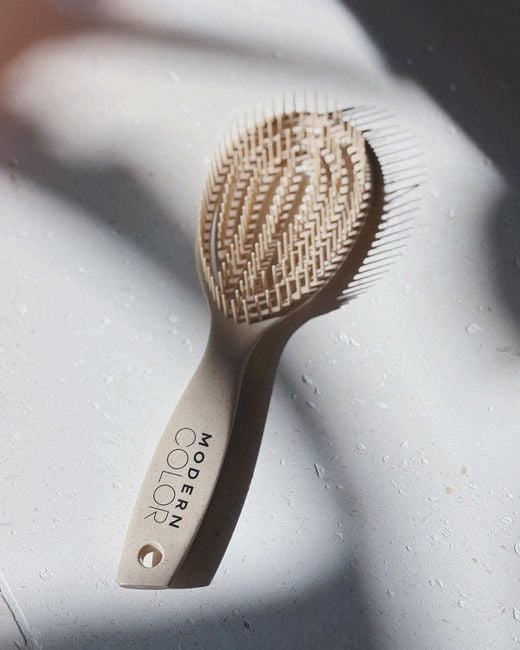 Modern Color Natural Neutrals Eco-Friendly Application Essentials Kit
