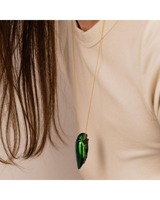 Oana Savu Green Sterling Necklace Real Beetle Insect Pendant