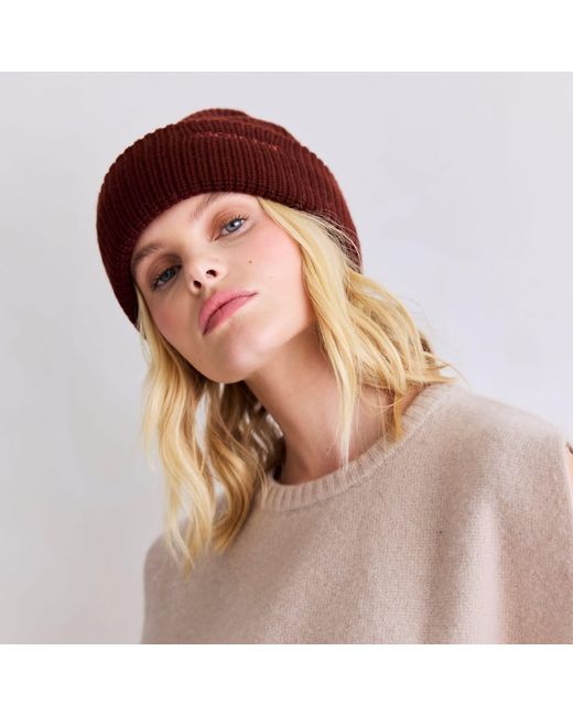 Arctic Fox & Co. Embroidered Merino Wool Beanie