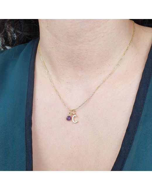 Harfi Metallic Mini Amethyst February Birthstone And Initial Plated Necklace
