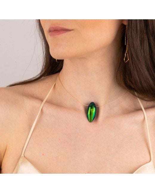 Oana Savu Metallic Beetle Real Insect Scarab Elegant Luxury Choker