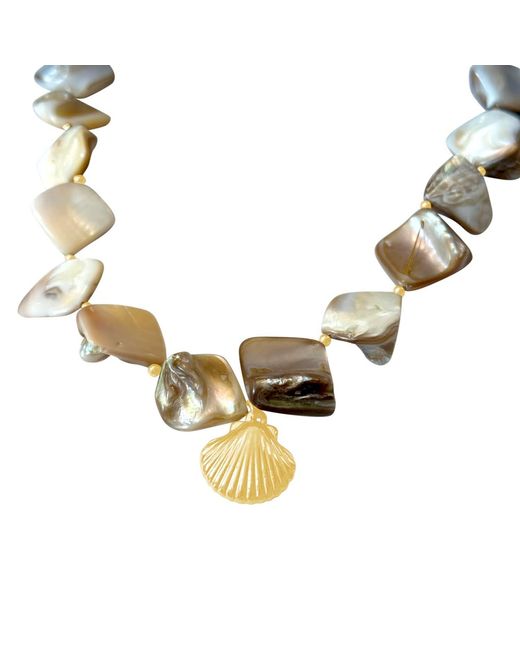 Glassy Metallic Shells Necklace
