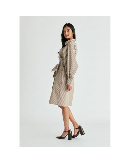 Paisie Natural Neutrals Striped Volume Sleeve Shirt Dress With Matching Tie Belt