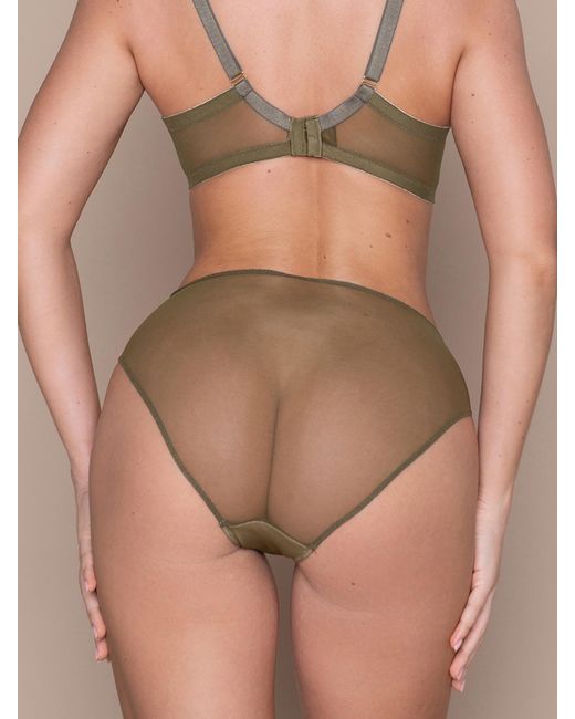 BonBon Lingerie Brown Roses Full Brief