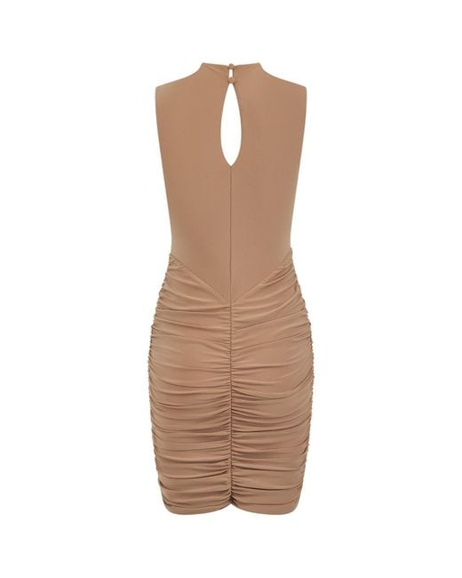 Celestine & Mae Brown Neutrals Ixia Mini Dress