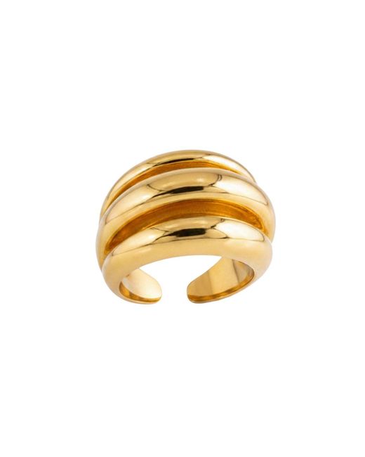 LINYA JEWELLERY Metallic Bery Vintage Big Ring