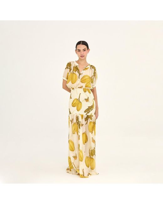Aguaclara Metallic Fruits De L'Est Maxi Dress