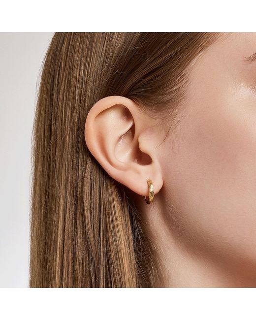 Didier Dubot Metallic Sensuelle Raw Textured Hoop Earrings