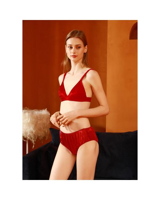 Soft Strokes Silk Red Set Of Two Pure Mulberry Silk Bikini Pantie