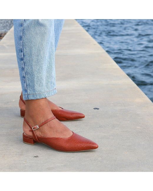 Alterre Red Snake Amal Point Slide