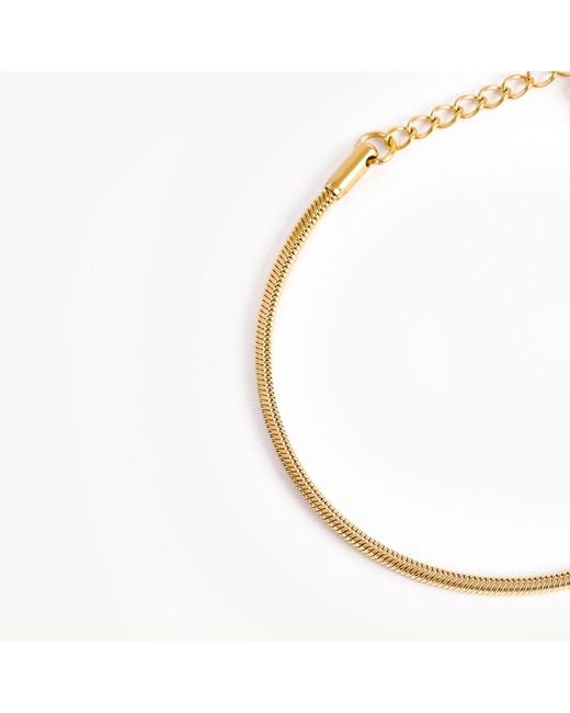 Lei & Mar Co. Metallic The Celine Snake Chain Bracelet