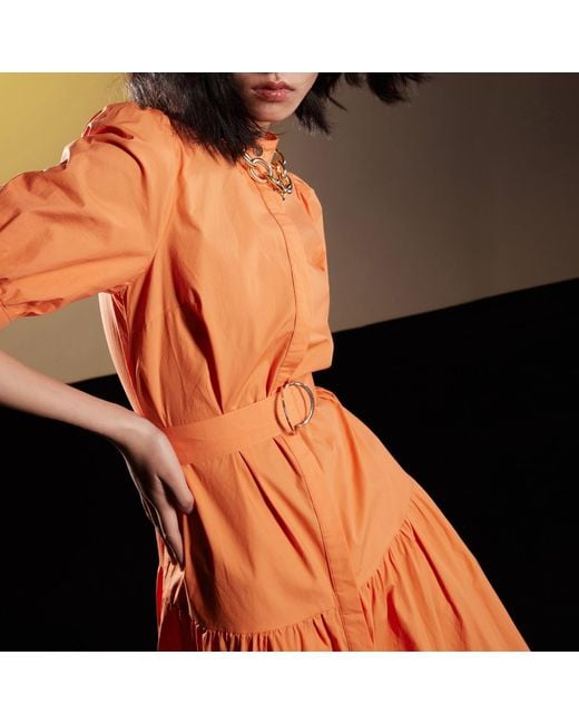 Smart and Joy Orange Cotton Shirt Dress With Added Belt