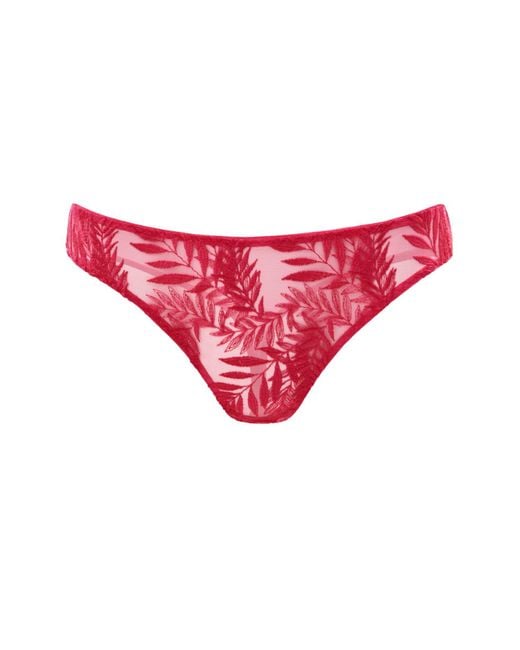 Daily Underwear Pink String Panties Flamingo