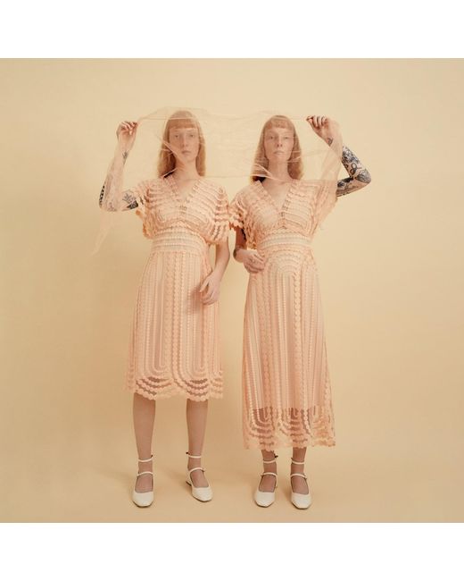 Lisa The Label Pink Cappuccino Dress Short
