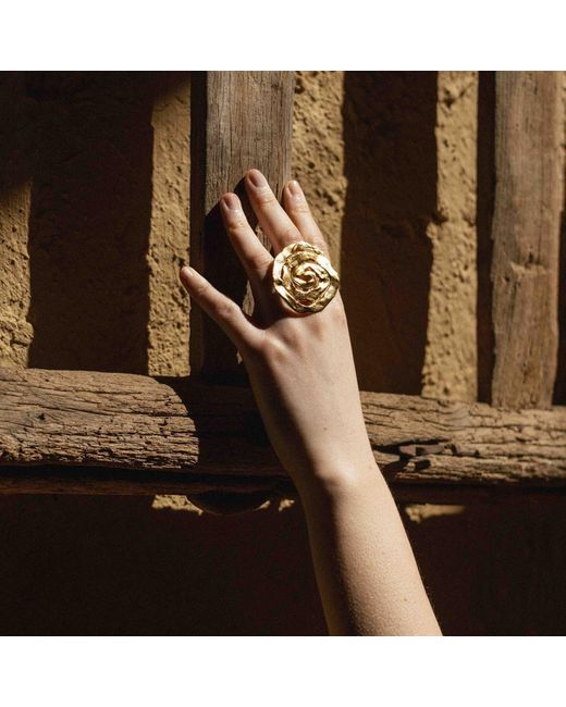 EVA REMENYI Metallic Origin Ring
