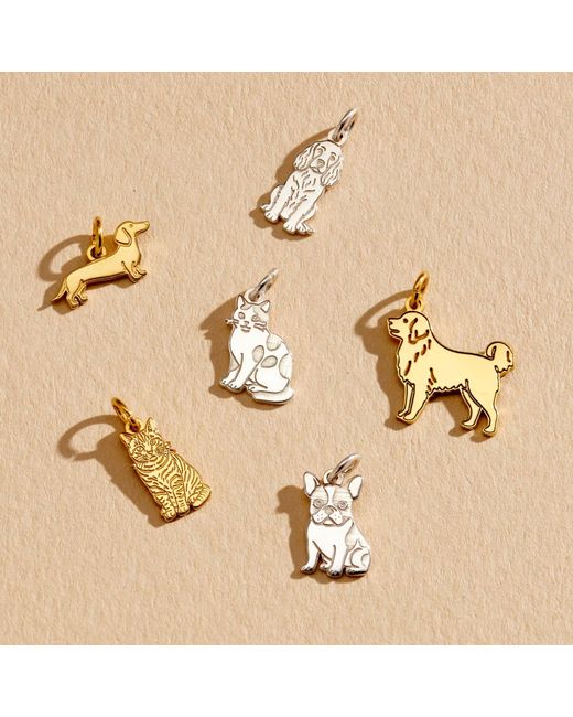 Posh Totty Designs Metallic Plated Labrador Dinky Charm Necklace