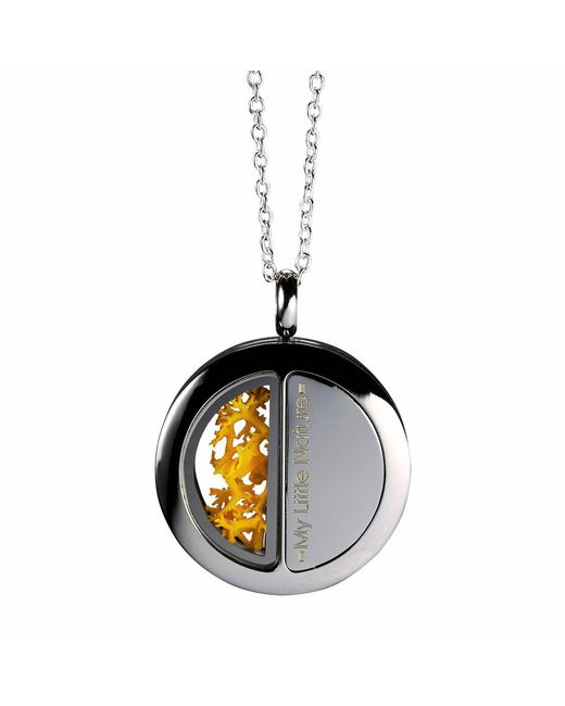 My Little Nature Metallic Artisan Necklace With Real Moss – Handcrafted Nature Jewelry, Butter
