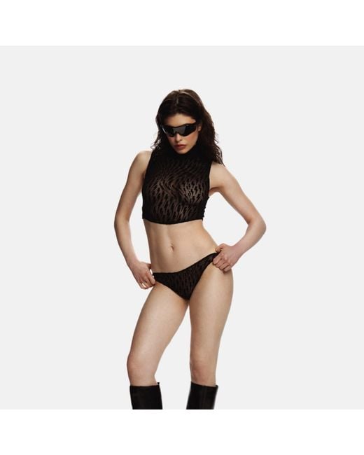 Ekcentrik Black Thunderbeats Crop Top