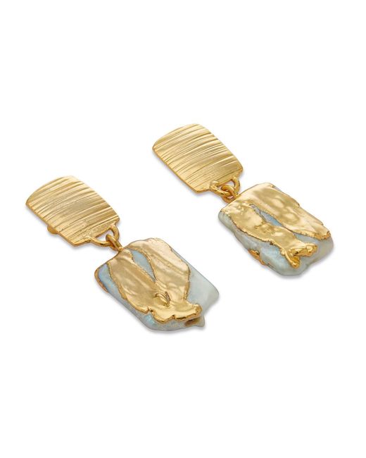 Dhwani Bansal Metallic Zuri Drop Earrings With Baroque Pearls