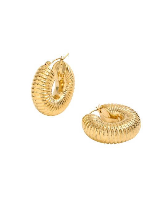 Bermuda Watch Company Metallic Annie Apple Lilia Chubby Hoop Ridge Earrings