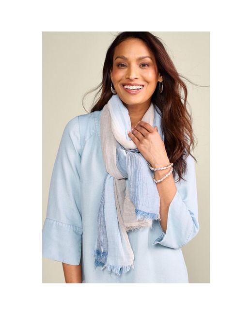 Saachi Blue Striped Fringed Beach Multi Scarf
