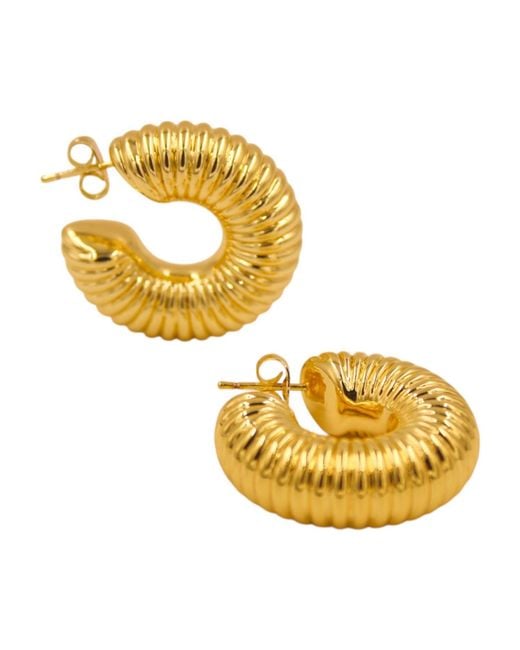 1610Istanbul Metallic Istanbulite Hoop Earrings