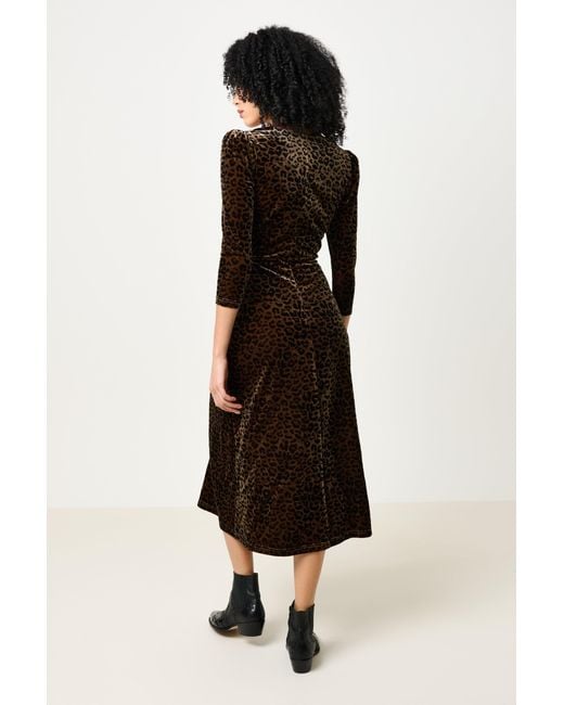 Louche Black Neutrals Ambrose Velvet Roar Midi Dress