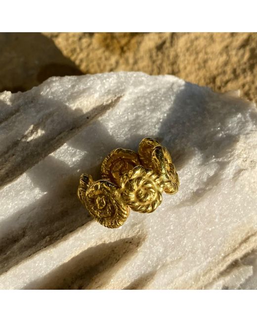 EVA REMENYI Metallic Nautilus Chunky Ring