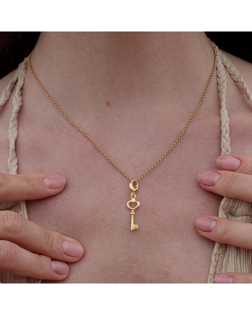 Lily Charmed Metallic Plated Key Charm Necklace