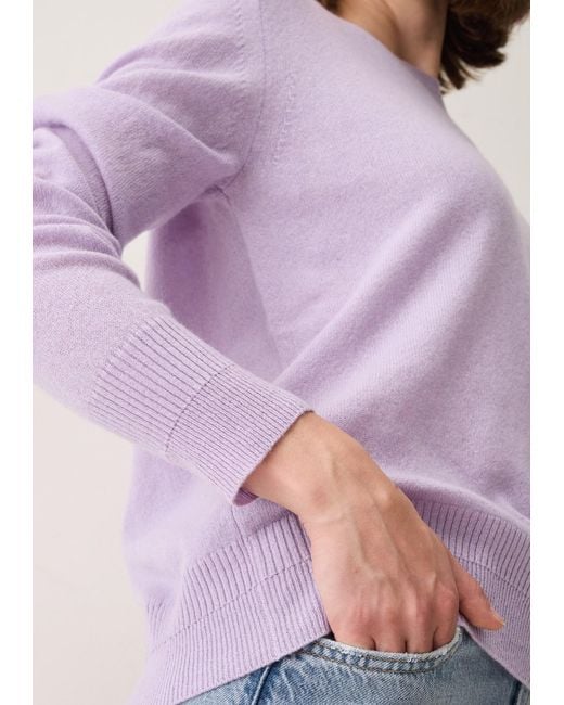 Loop Cashmere Purple Cashmere Crew Neck Sweater