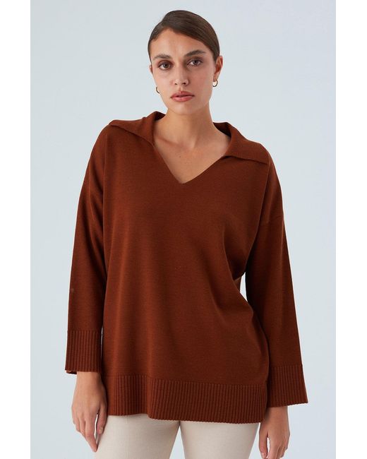Peraluna Brown Polo V Neck Wide Sleeve Loose Fit Knit Pullover
