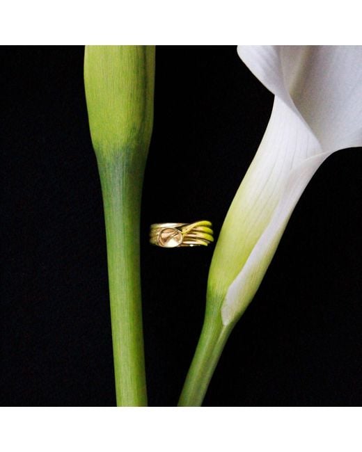 Agora Jewellery Metallic Calla Ring