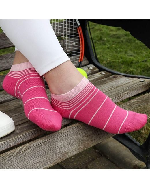 Peper Harow - Made in England Pink Retro Stripe Luxury Crew & Trainer Socks Bundle