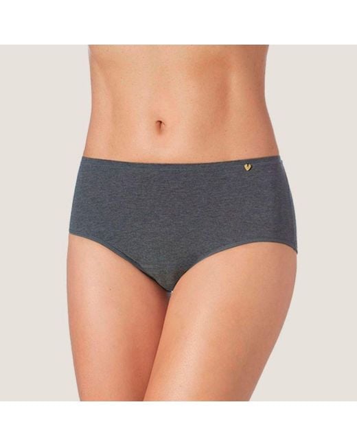Zd - Zero Defects Blue Atenea High-Waist Brief – Stylisht Fit & Comfort With Soy Fiber