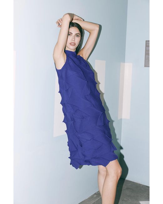 Wild Cosmos Blue Amara Prismatic Pleats Dress Royal