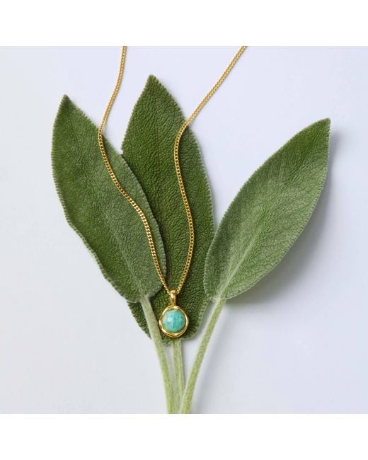 Muru Metallic Tiny Amazonite Necklace For Balance