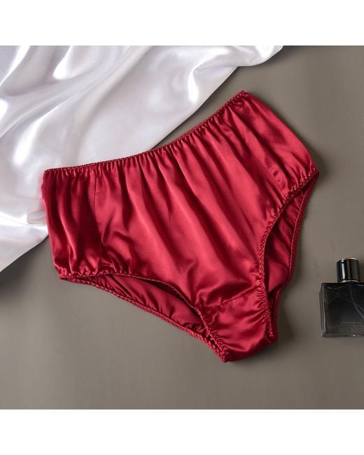 Soft Strokes Silk Red Set Of Two Pure Mulberry Silk French Cut Panties