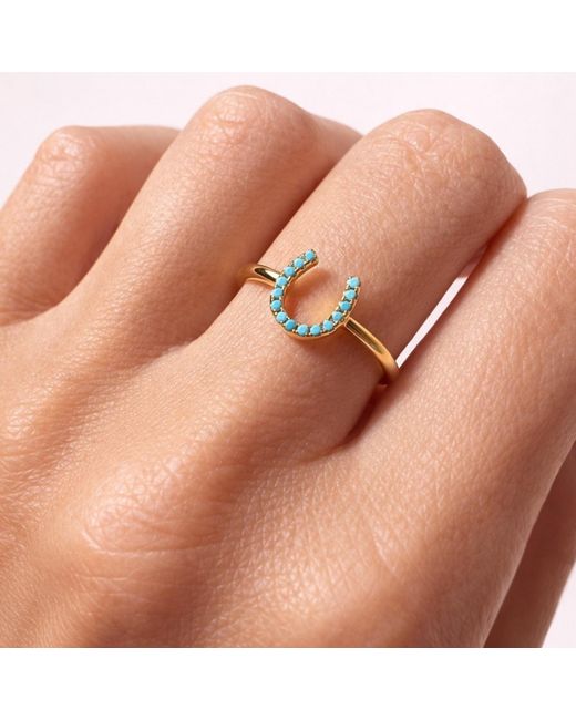 Native Gem Metallic Lucky Horseshoe Ring