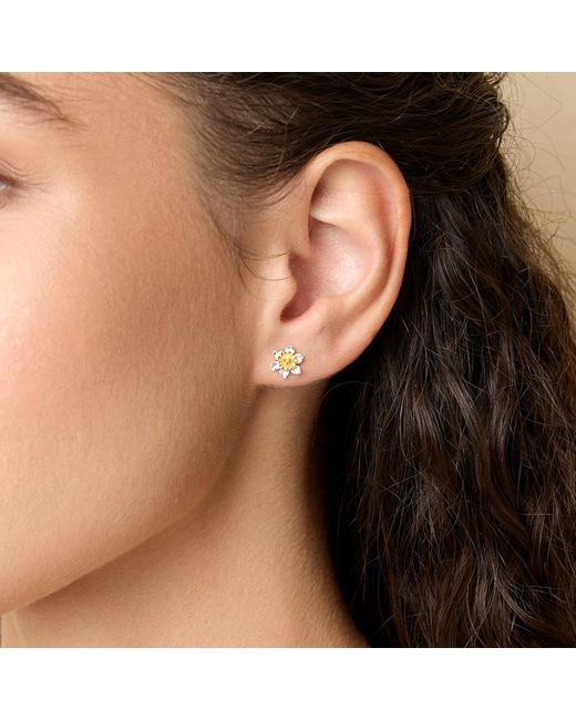 Isla Silver Metallic Daffodil Bloom Stud Earrings