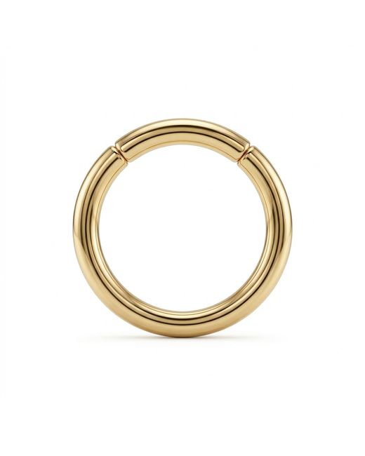Zahav Jewelry Metallic 14K Solid Captive Segment Clicker Hoop