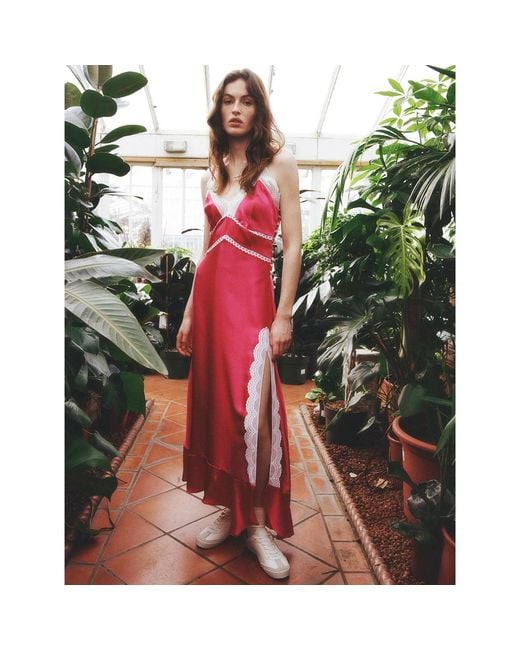 Lisa The Label Pink Le Jardin Ruby Rose Slip Dress
