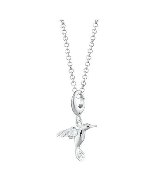 Lily Charmed Metallic Sterling Hummingbird Charm Necklace