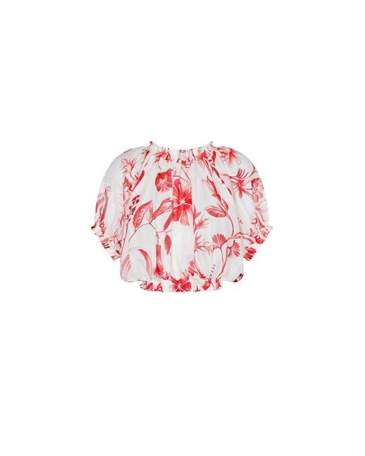 Aguaclara Pink Rouge Crop Top