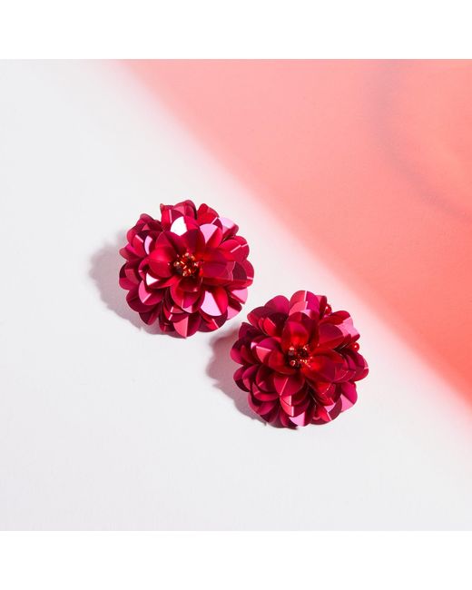 PINAR OZEVLAT Pink Blossoms Geranium